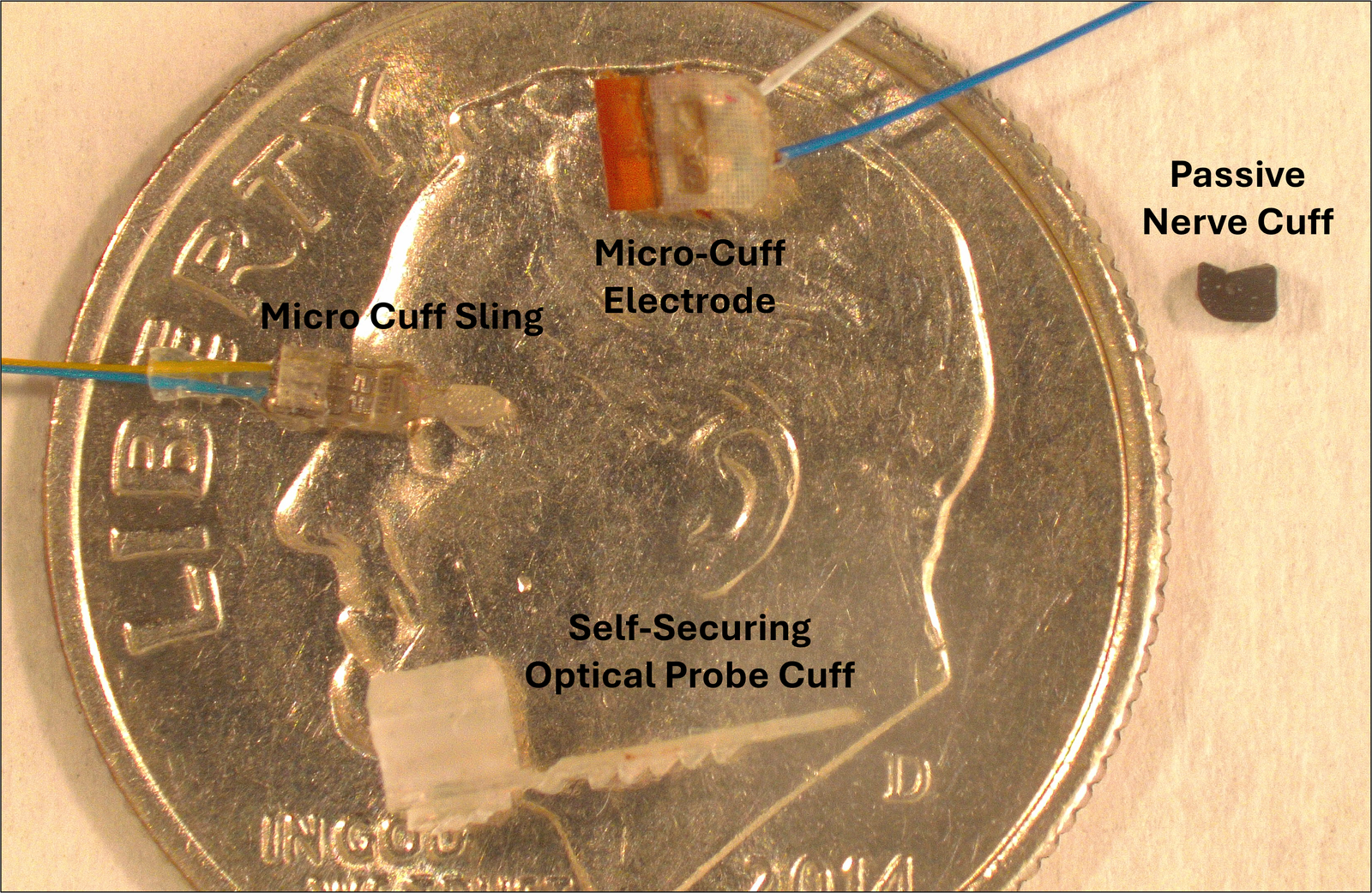 Four types of Nerve Cuffs (Micro Cuff Sling, Micro-Cuff Electrode, Self-Securing Optical Probe Cuff, and the Passive Nerve Cuff) laying on and near a dime for size.