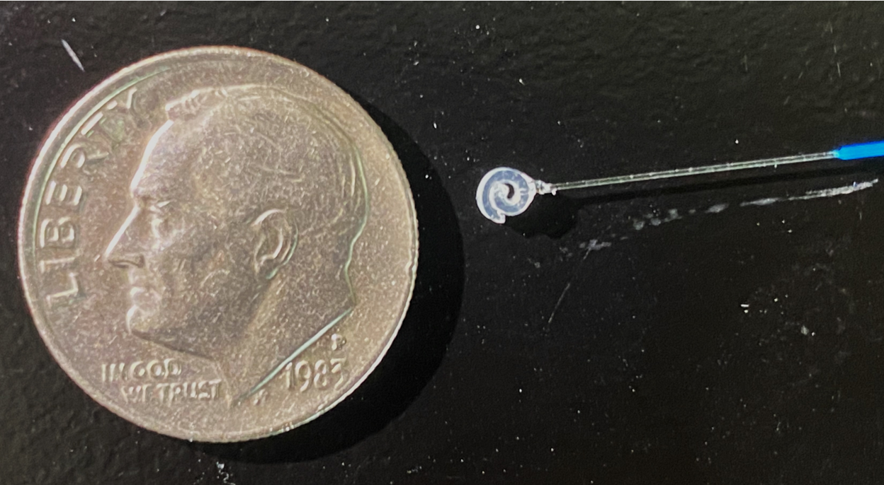 A spiral nerve cuff shown next to dime for size.